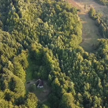 Eden